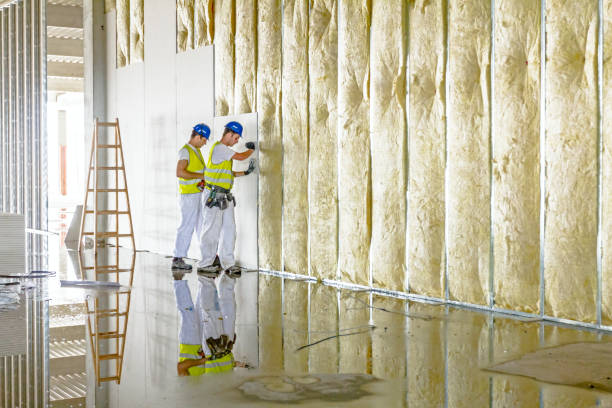 Best Types of Insulation in Oyster Bay Cove, NY
